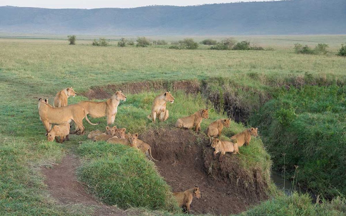 Ngorongoro 2a